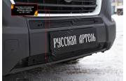 Защитная сетка решетки переднего бампера Fiat Ducato 2014- (290 кузов)